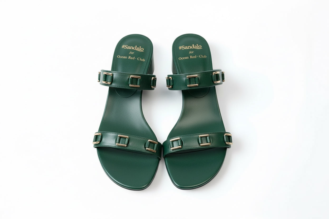 Pair of brown sandals with buckles on a white background